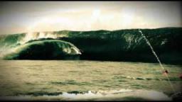 Reef Supreme Collection - Shane Dorian