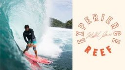 Reef Experience With Mikala Jones