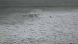 Hurricane Swell at Putsborough