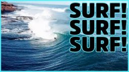 Just Surf!