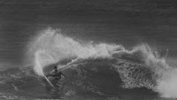 RVCAloha | November Highlight Reel