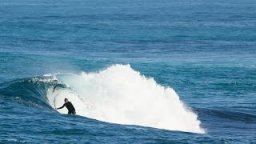 RVCA | South Oz
