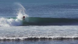 INDO-FLU