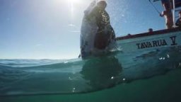 GoPro Break Breakdown: Fiji Pro