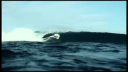 MIRAGE Athletes: Matt Wilkinson