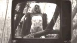 Volcom | Strange Brains | Gonzalo Zubizarreta