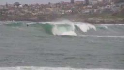 bommie baysurf  video