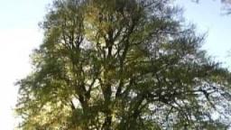Lanhydrock: Seasons and Work