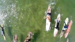 Vieux Boucau Longboard Festival - Day 1