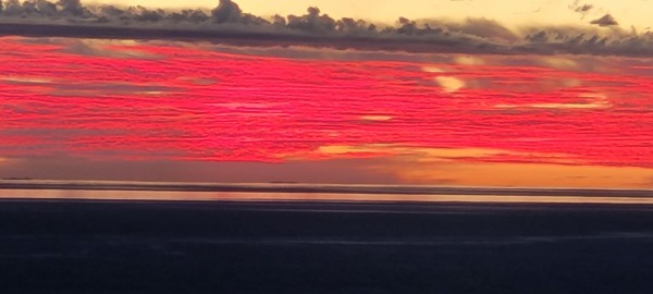 20241130_170727.jpg