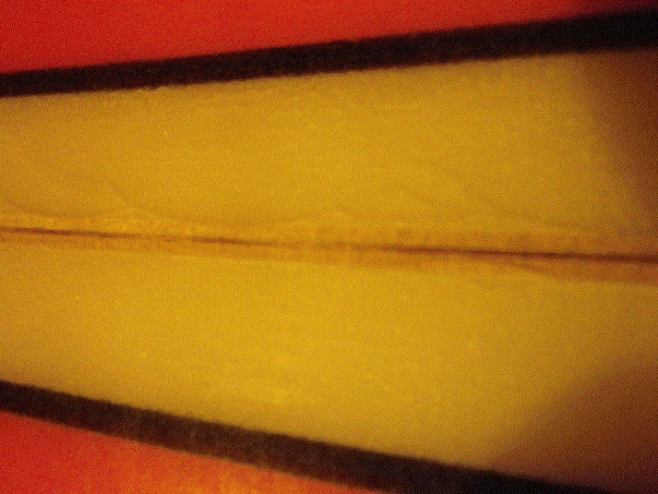 Capture2.GIF