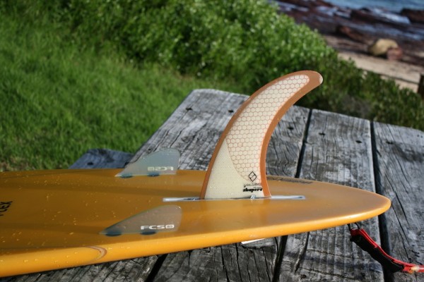 Bonzer fins.JPG