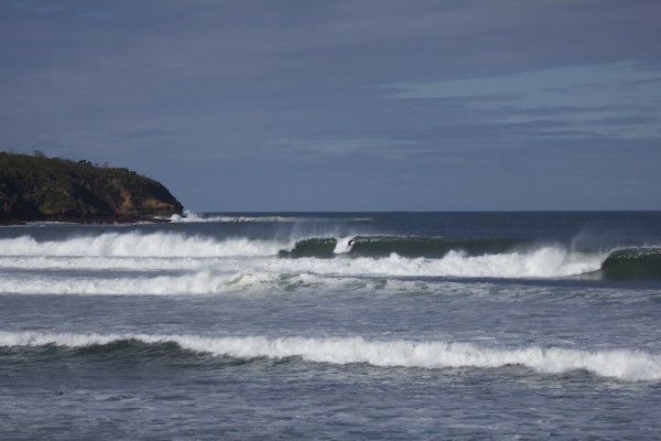 Swell swell.jpg