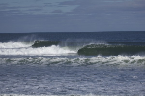 Swell shapely .jpg