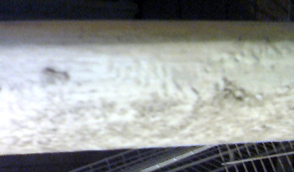 p3.jpg
