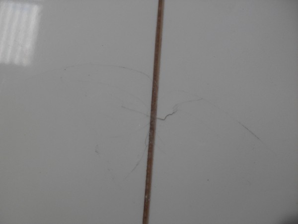 SDC10295.JPG