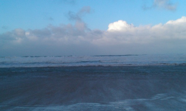 IMAG0098.jpg