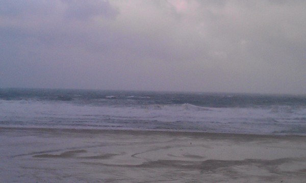 IMAG0097.jpg