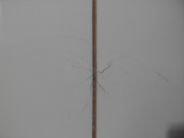 SDC10296.JPG