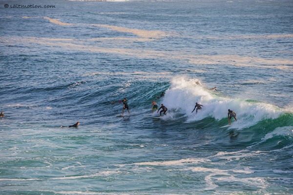 saltmotion_IMG_6445_2013_01_30.jpg