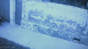 yahoo.gif