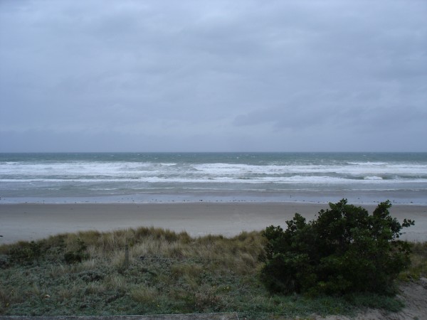 Overview of reef site 03.jpg