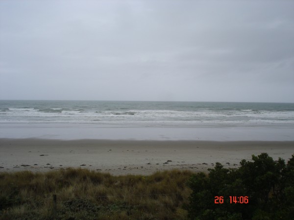 Reef 26th, wide view..jpg