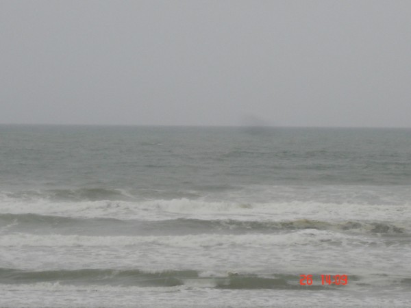 Reef 26th close up 2.jpg