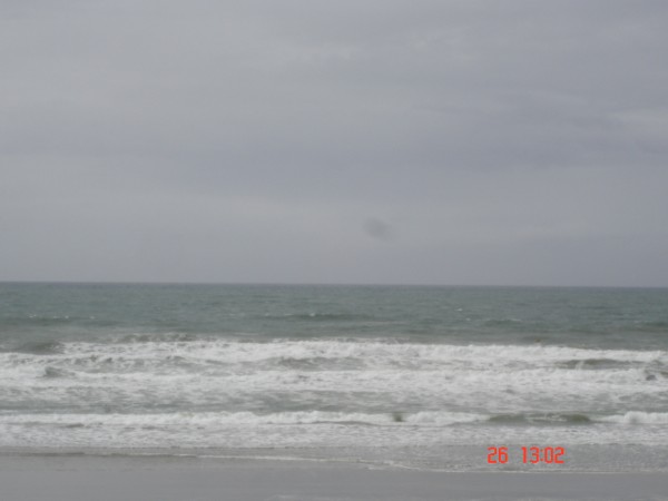 Reef 26th Close-up..jpg
