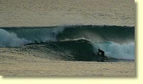 images-2.jpg