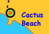 cactusS-over.jpg