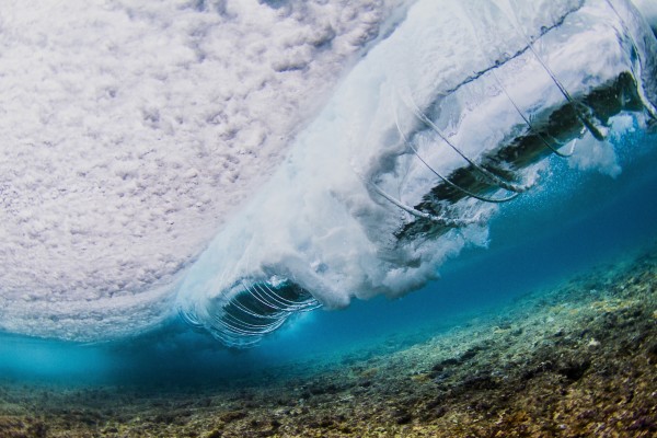 meet the reef .jpg
