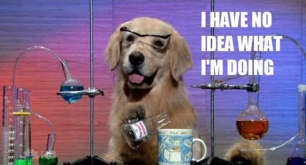 I-have-no-idea-what-im-doing-science-dog.jpg