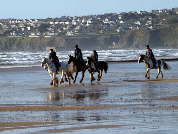 beachhorses-meteotimes.jpg
