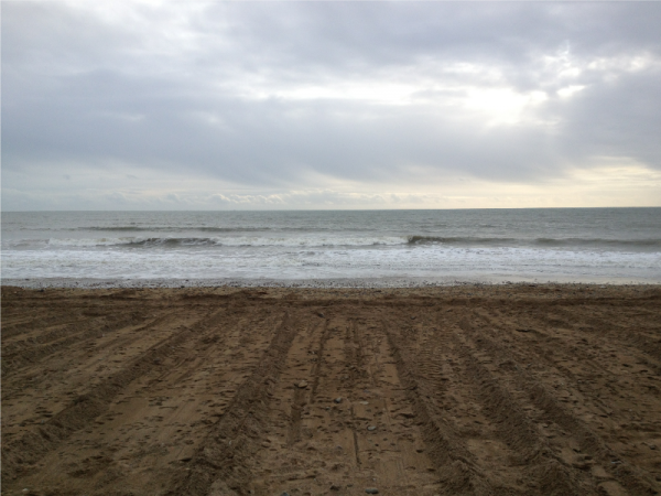 tmp_32430-photo 3149829309.png