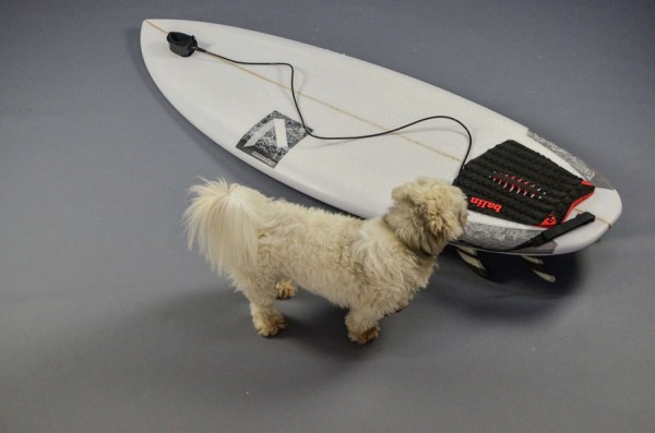 Surfboard_6.jpg