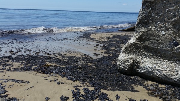 beach_5.jpg