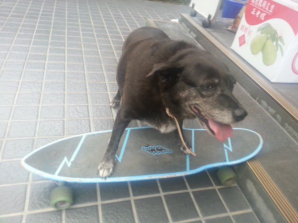 20130712_171444.jpg