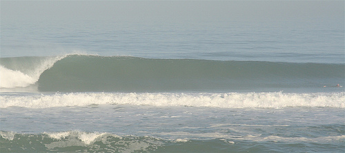 3612842471_e2b5af954d.jpg