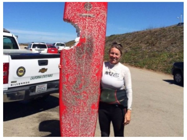 Morro_shark_bite_08292015.jpg