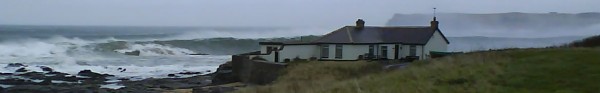DSC02017.JPG