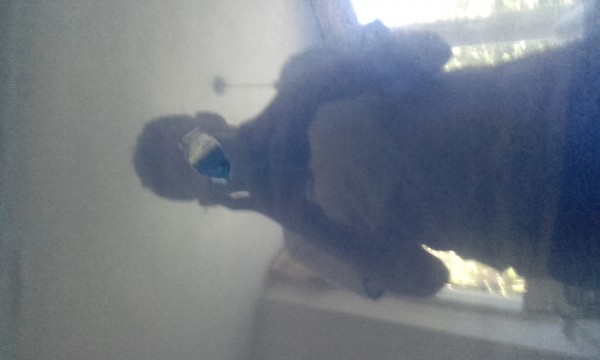 20150925_104743.jpg