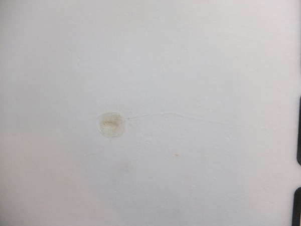 DSCF9674.JPG