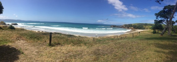 Tawharanui.JPG
