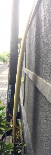 image.jpeg