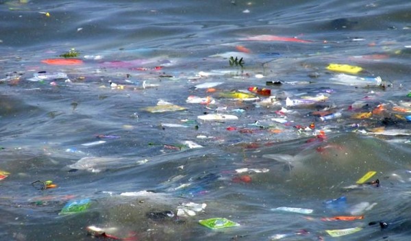 ocean_plastic_video2.jpg