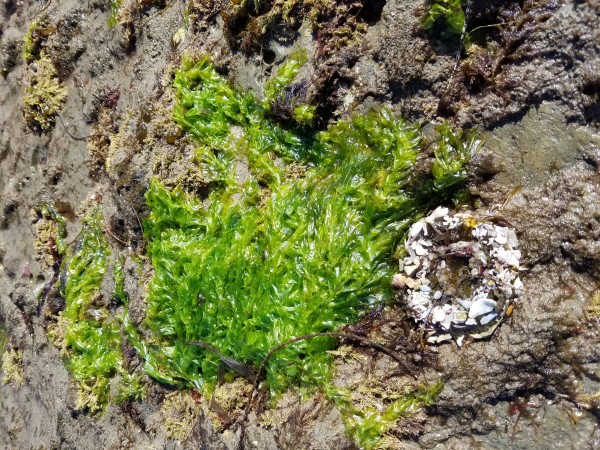 20160625_092845.jpg