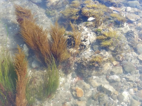 20160625_093731.jpg