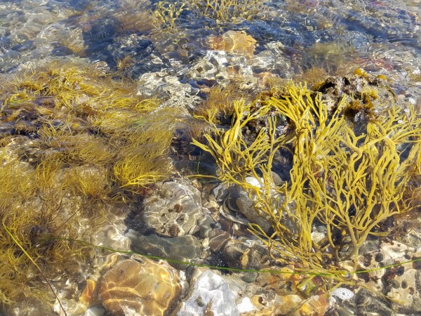 20160625_093805.jpg