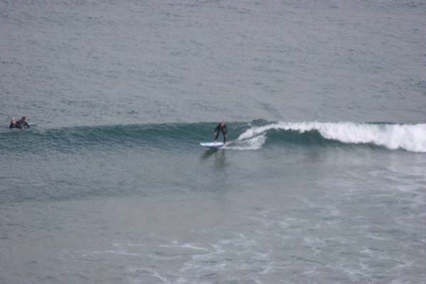 IMG_9521.jpg